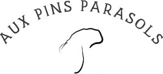 Logo Aux Pins Parasols